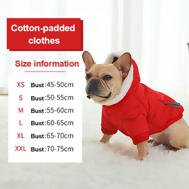 HOOPET Dog Clothes Winter Warm Pet Dog Jacket Coat Puppy Chihuahua Clothing Hoodies For Small Medium Dogs Puppy Outfit