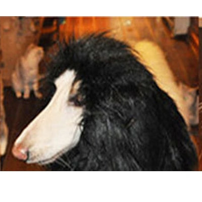 Cute Pet Cosplay Clothes Transfiguration Costume Lion Mane Winter Warm Wig Cat Large Dog Party Decoration With Ear Pet Apparel