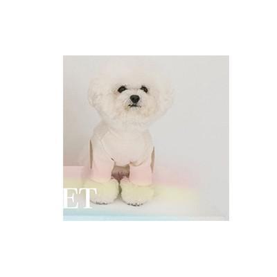 Solid Color Pet Dog Clothes Winter Warm Dogs Sweaters For Puppy Small Medium Dogs Knitting Chihuahua Yorkshire Costume Outfit