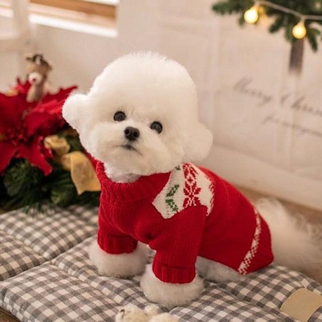 Winter Pet Dog Sweater Christmas Cute Dogs Clothes For Puppy Small Medium Dogs Sweatshir Coats Warm Boss Chihuahua Outfit Perro