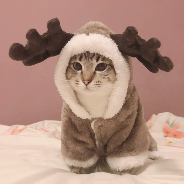 Winter Cat Clothes Warm Fleece Pet Costume for Small Cats Kitten Jumpsuits Clothing Cat Coat Jacket Pets Dog Cat Clothes Funny
