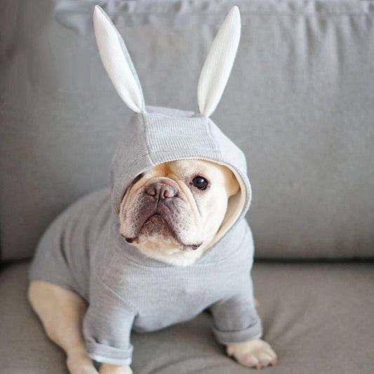 Dog Clothes For Small Dogs French Bulldog Hoodies Chihuahua Coat Jacket For Puppy Cat Fashion Style Dog Apparel Rabbit Dress Up