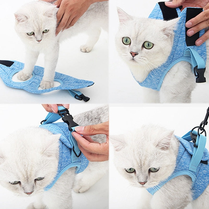 Dog Cat Walking Jacket Harness Cat Harness Escape Proof Small Cat and Dog Vest Harness with Reflective Strap for Kitten