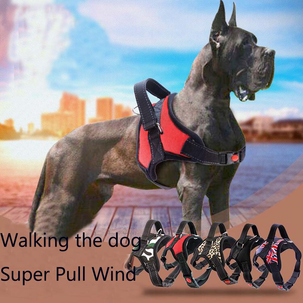 Dog Chest Strap Pet Products for Large Dog Harness Glowing Led Collar Puppy Lead Pets Vest Dog Leads Accessories