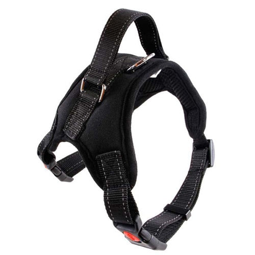 Dog Chest Strap Pet Products for Large Dog Harness Glowing Led Collar Puppy Lead Pets Vest Dog Leads Accessories