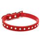 PipiFren Cats Collars Kitten Necklace Accessories Products For Pet Small Dogs Collar Puppy collier pour chat animaux