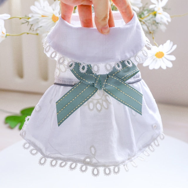 PETCIRCLE Dog Clothes Bowknot Cutout Dress Fit Small Puppy Pet Cat Spring & Summer Pet Cute Costume Dog Clothing Dog NEW Skirt