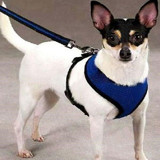 Adjustable Pet Control Harness Collar Safety Strap Mesh Vest For Dog Puppy Cat  Dog Supplies Adjustable Pet Leash Accessories