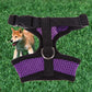 Adjustable Pet Control Harness Collar Safety Strap Mesh Vest For Dog Puppy Cat  Dog Supplies Adjustable Pet Leash Accessories