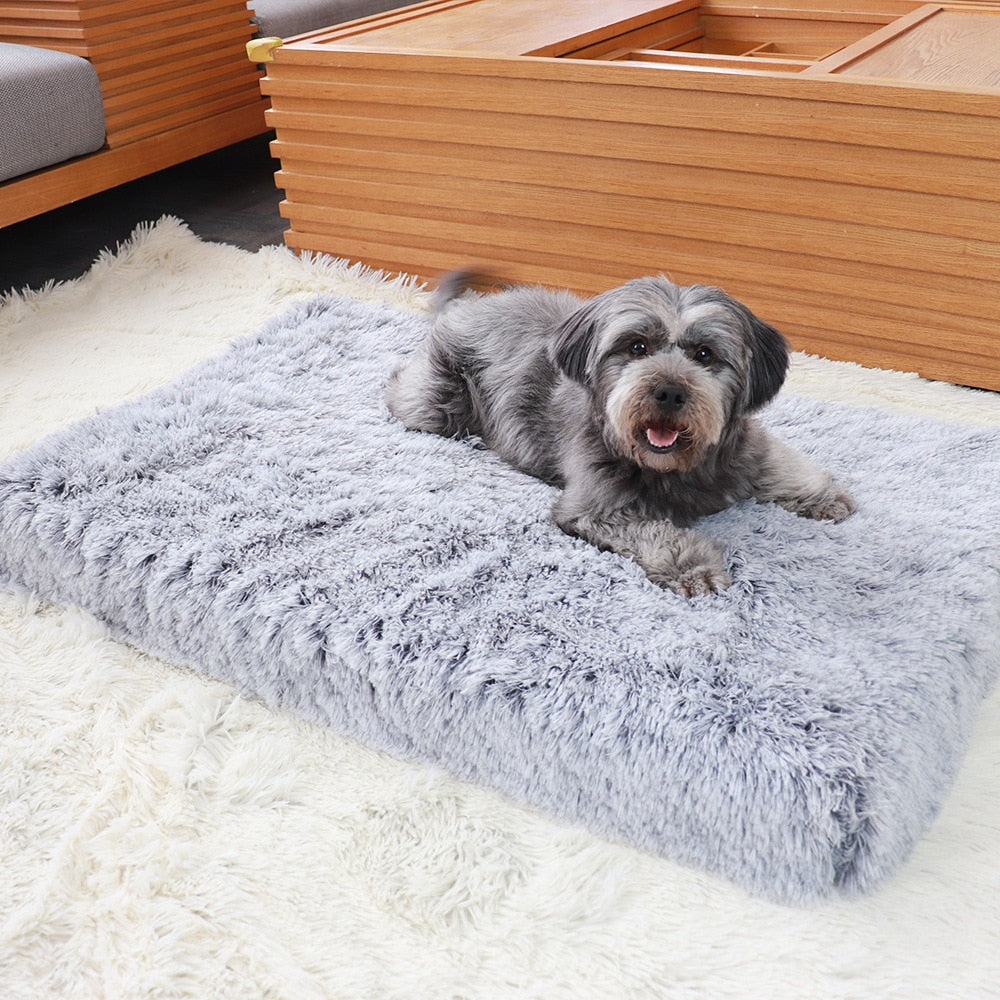 Large Orthopedic Dog Bed Soft Plush Pet Mattress Memory Foam Sofa with Removable Washable Cover Mat Cushion for Large Cat Dogs