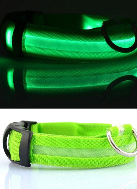 Nylon LED Pet Dog Collar,Night Safety Flashing Glow In The Dark Dog Leash,Dogs Luminous Fluorescent Collars Pet Supplies
