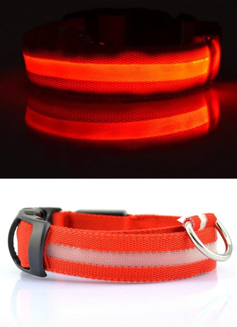 Nylon LED Pet Dog Collar,Night Safety Flashing Glow In The Dark Dog Leash,Dogs Luminous Fluorescent Collars Pet Supplies