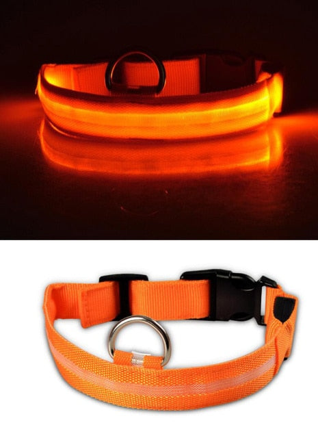 Nylon LED Pet Dog Collar,Night Safety Flashing Glow In The Dark Dog Leash,Dogs Luminous Fluorescent Collars Pet Supplies