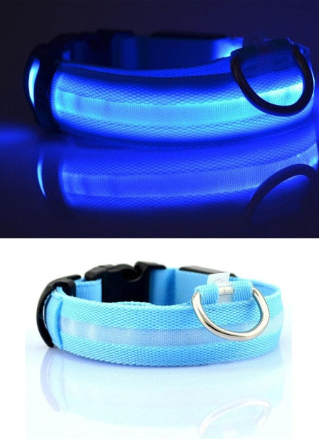 Nylon LED Pet Dog Collar,Night Safety Flashing Glow In The Dark Dog Leash,Dogs Luminous Fluorescent Collars Pet Supplies