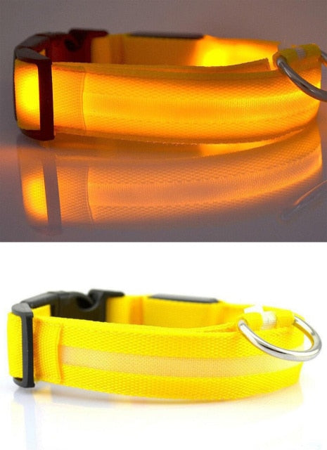 Nylon LED Pet Dog Collar,Night Safety Flashing Glow In The Dark Dog Leash,Dogs Luminous Fluorescent Collars Pet Supplies