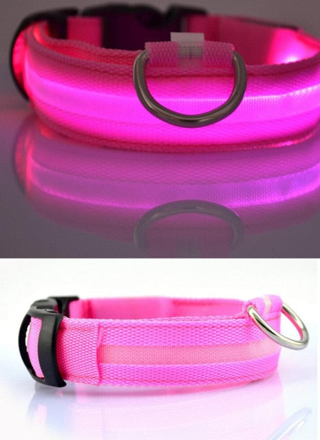 Nylon LED Pet Dog Collar,Night Safety Flashing Glow In The Dark Dog Leash,Dogs Luminous Fluorescent Collars Pet Supplies