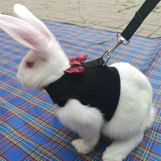Rabbits Hamster Vest Bowknot Rabbit Leash Multicolor Convenient Rabbit Chest Back Safety Breathable Pet Supplies Rabbit Clothing